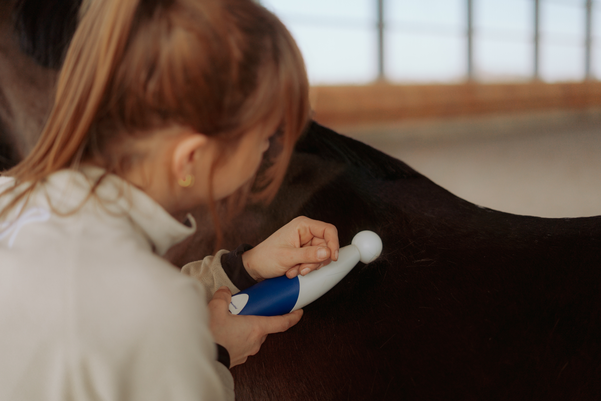 Behandlung eines Pferdes mit dem Neurostim