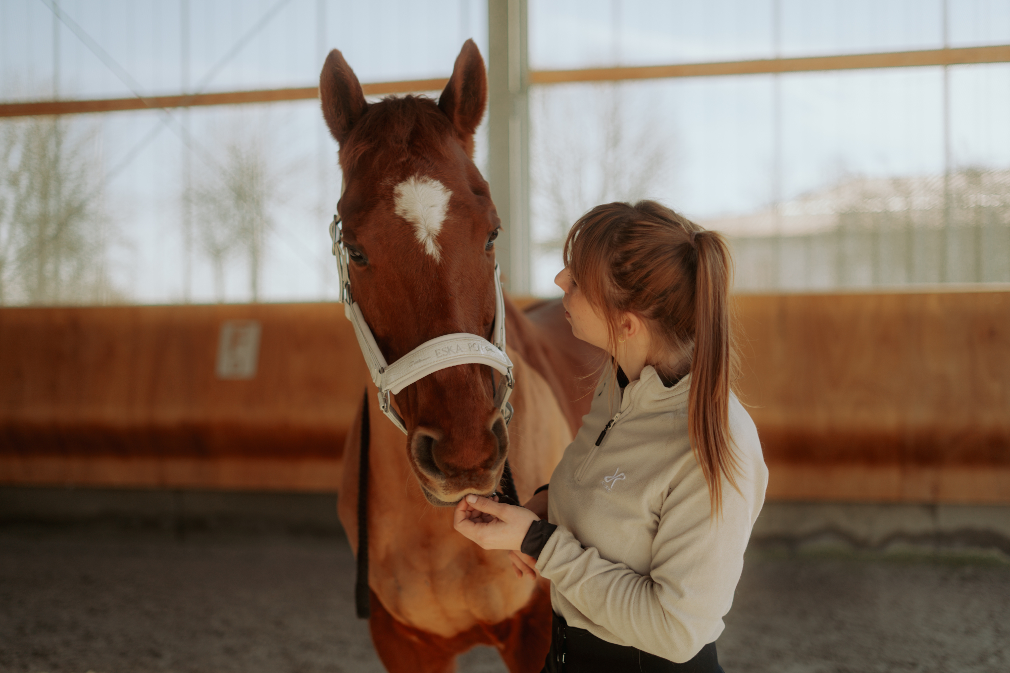 Equi Vio - Tierphysiotherapie Dominique Leute
